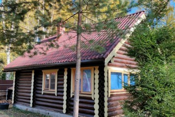 Үлкен құрылыстың қажеті жоқ: күзде коттеджіңізді қалай арзан түрде тазартуға болады
