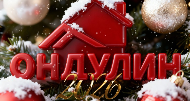 С Новым 2026!