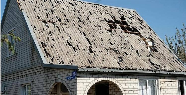 бұршақтан бүлінген шифер